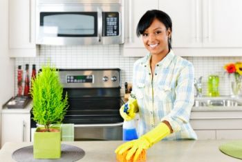 House Cleaning by Maid to Sparkle